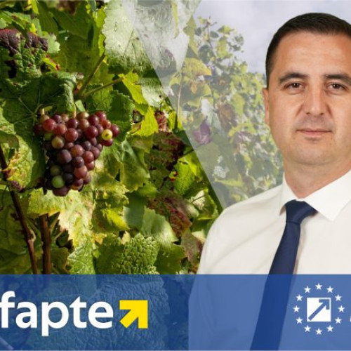 Dragoș Ciobotaru, candidatul PNL pentru funcția de președinte al Consiliului Județean Vrancea: ”Viticultura reprezintă identitatea noastră. Viticultura în Vrancea are viitor”
