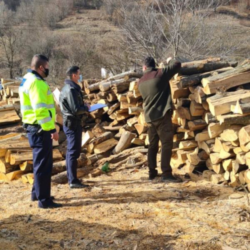 Sancțiuni de peste 60.000 de lei aplicate de autoritățile din Vrancea în urma unor controale pe domeniul silvic