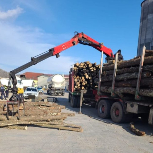 Controale în sectorul silvic: Amenzi și confiscări pentru exploatarea ilegală a lemnului. Polițiștii și specialiștii silvici au aplicat sancțiuni și măsuri complementare pentru infracțiuni de tăiere, furt și fals informatic.
