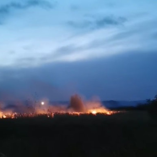 Incendiile de vegetație uscată devin tot mai frecvente